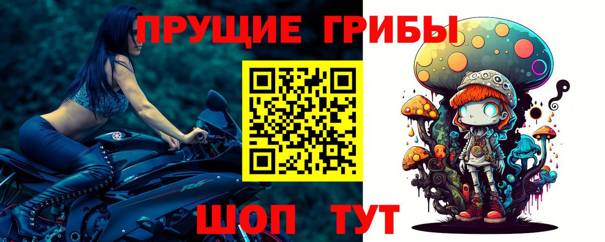 Галлюциногенные грибы Cubensis Егорьевск