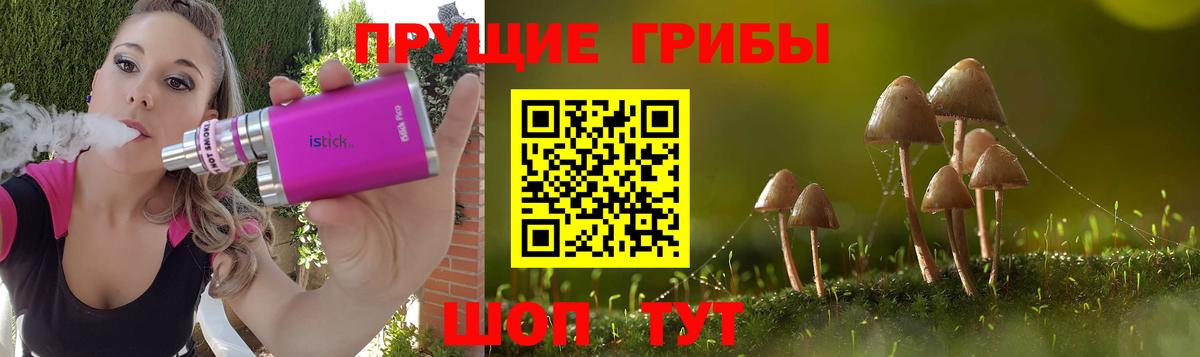 Егорьевск  Галлюциногенные грибы Psilocybine cubensis  что такое наркотик  Вход с VPN 