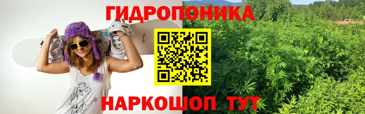 Бошки Шишки AK-47  Каннабис MAZAR  Вход с VPN  Егорьевск  Конопля конопля 